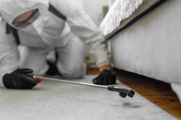 Professional Rodent Control technician working in Las Maravillas, NM