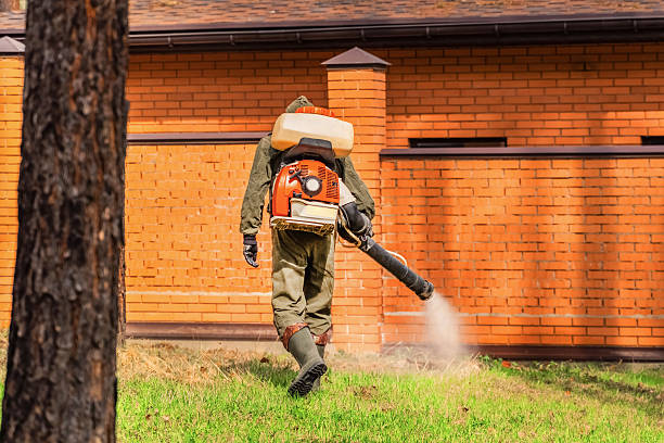 Trusted Termite Control service in Las Maravillas, NM - Nex Pest Control